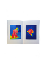Load image into Gallery viewer, THERMOGRAM ZINE A5, 2021